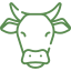 Campo