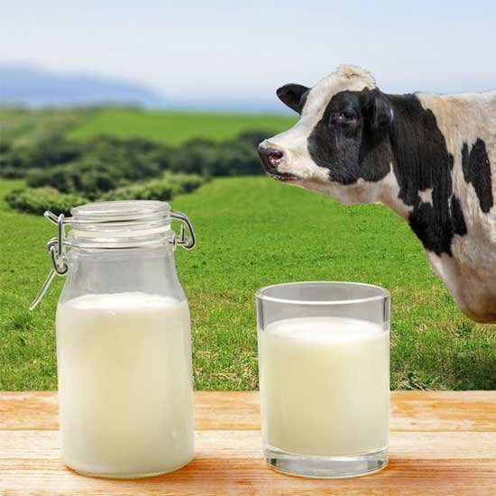 Producción rural